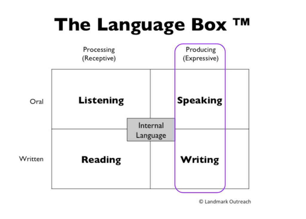 Language Box Graphic demonstrating the interaction of receptive and expressive language skills.